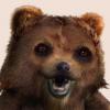 ArtcticBear